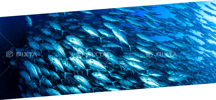 画像：タイトルイメージ