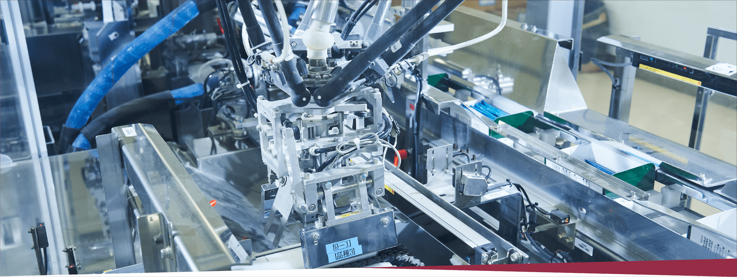 画像：サプリメント