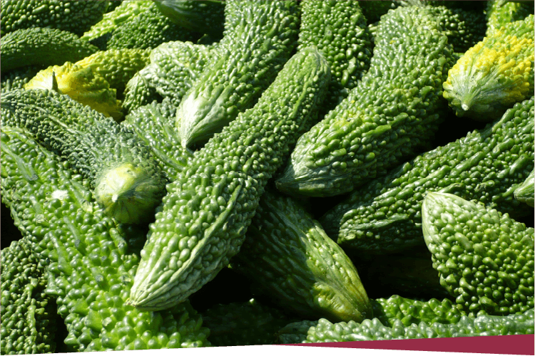 画像：ニガウリ