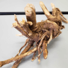 Siberian Ginseng