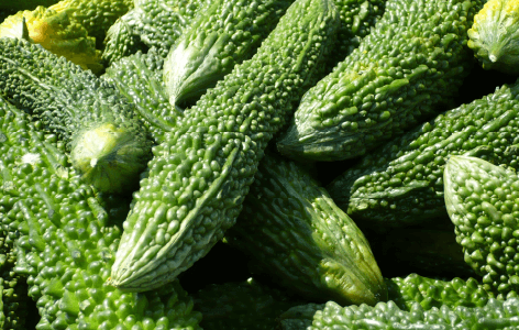 Bitter Melon