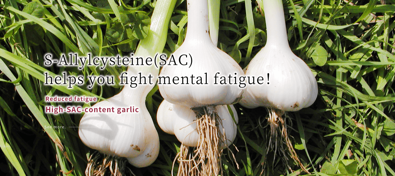 High-SAC-Content Garlic