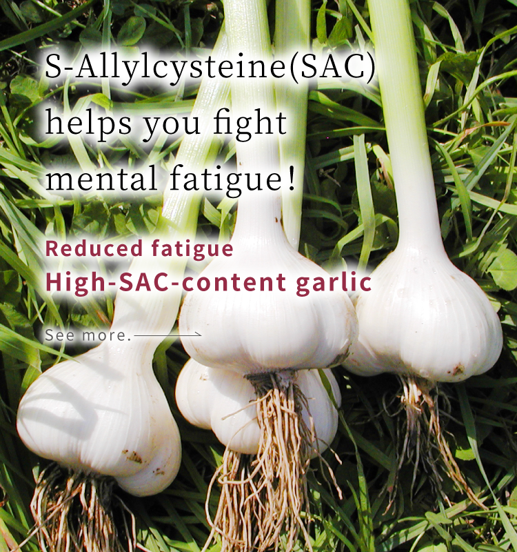 High-SAC-Content Garlic